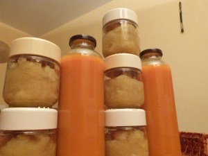 Soupe et compote pour la semaine !