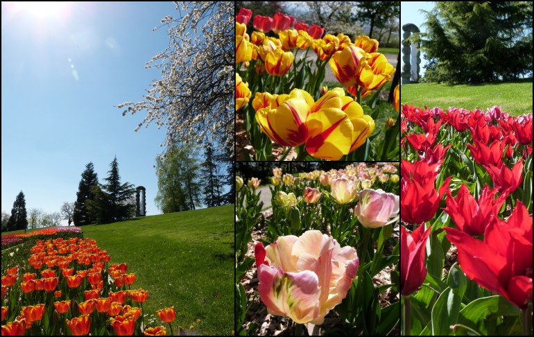 Montjuzet_printemps_2013_2