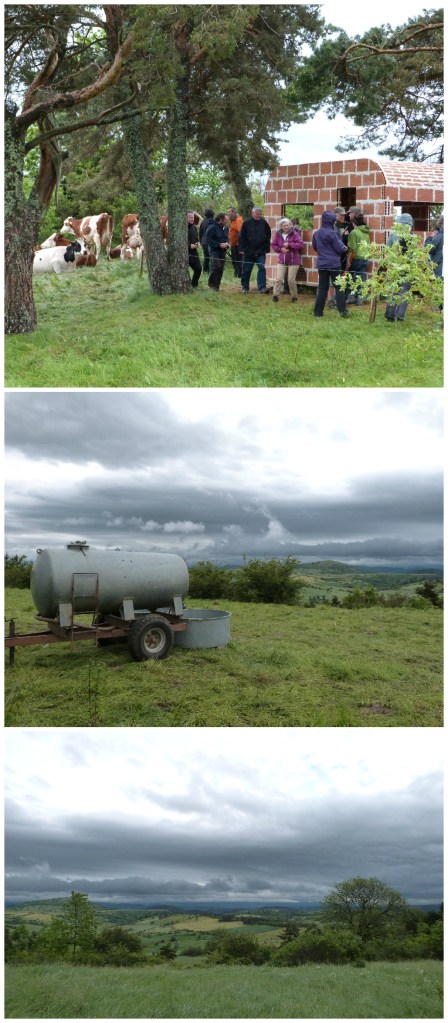 Caravane_Horizons2013