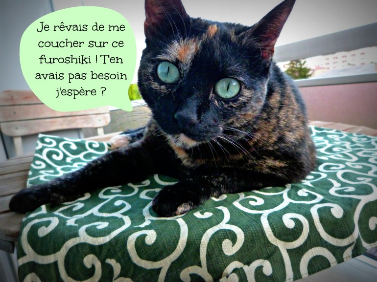 Chat_relou