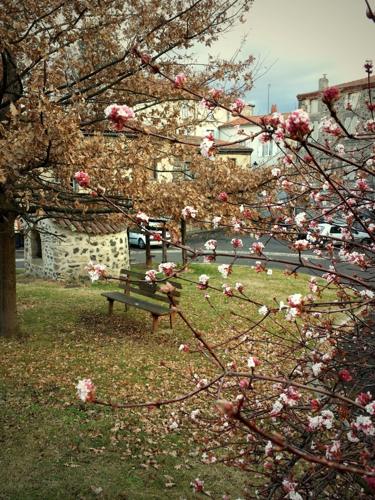Le cul entre deux saisons...