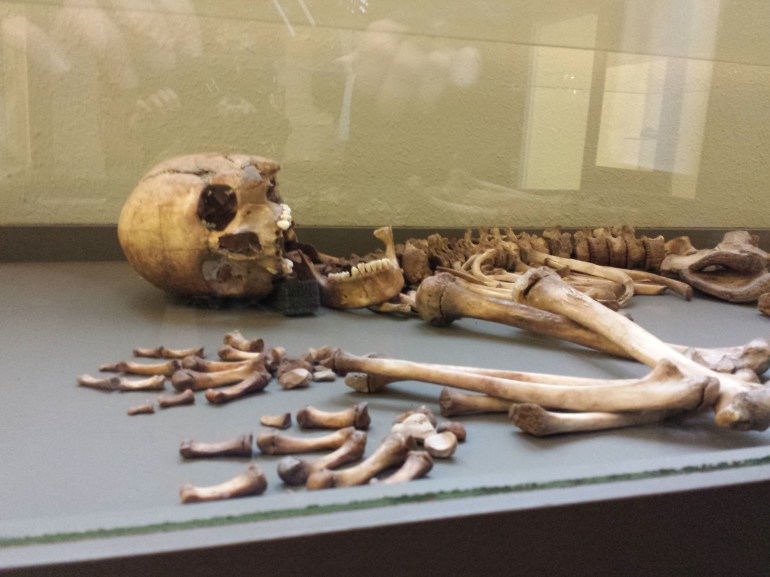 Pendant ce temps, au rez-de-chaussée, rayon archéologie... on s'ennuie à mourir ^^