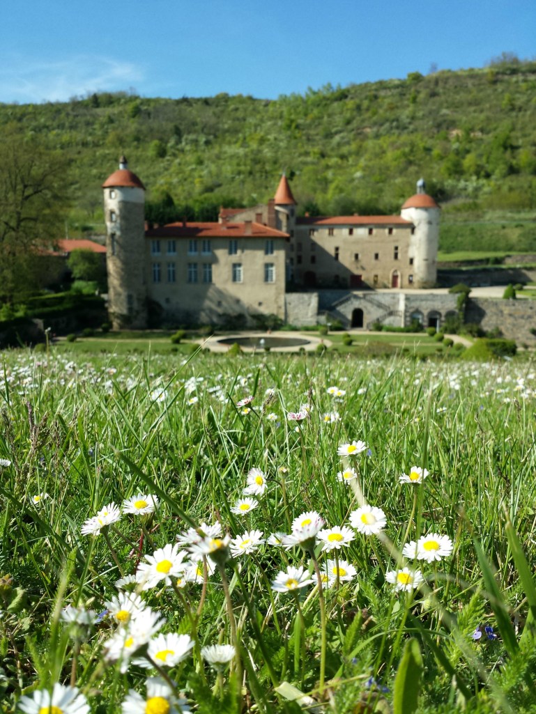 la_batisse_paquerettes