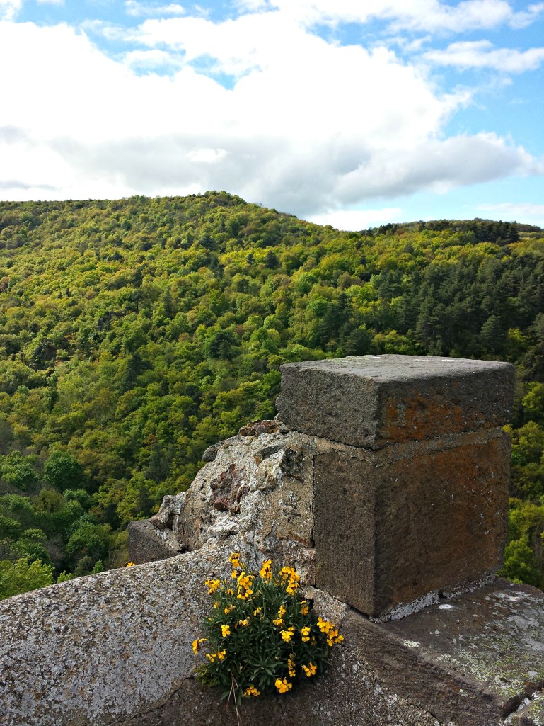tour-carrée-tournoel