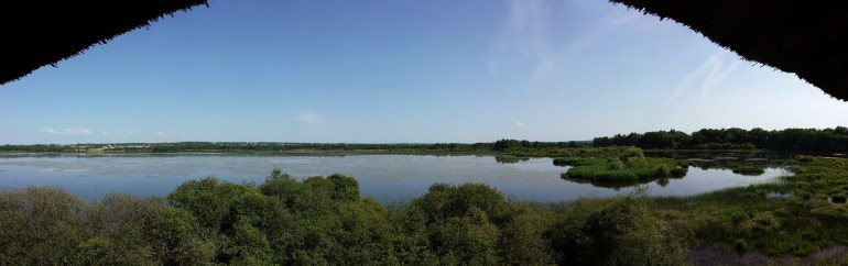 L'étang vu du Grand Affût