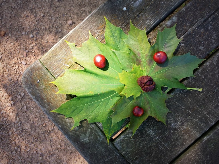 mylittlelandart_orangerie