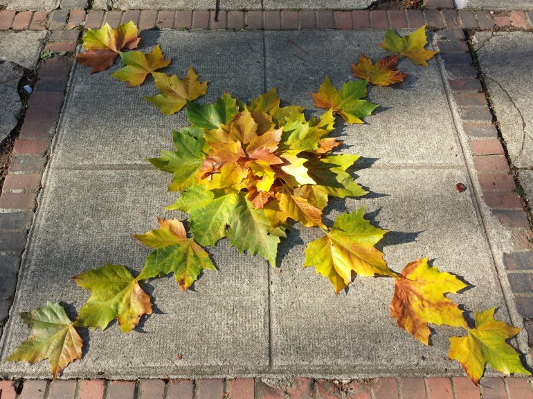 étoile_mylittlelandart