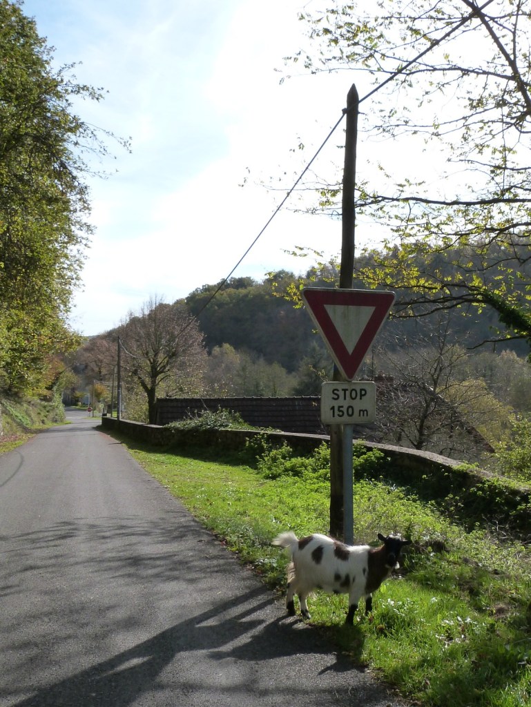 La seul âme qui vive croisée dans le village ;)