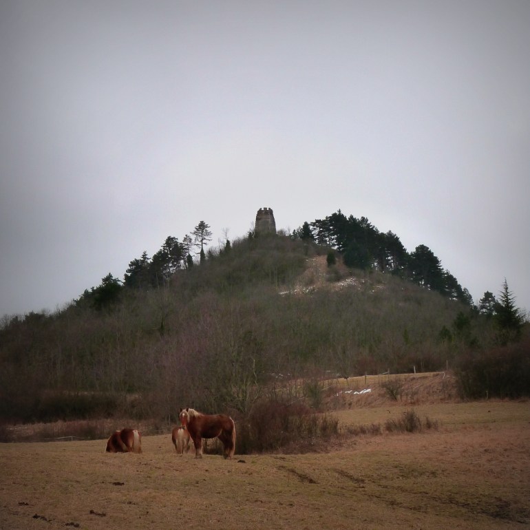chevaux_montrognon