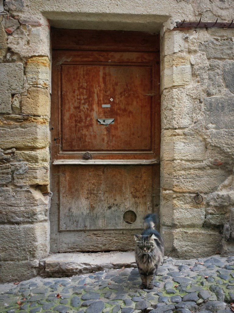 chat_porte
