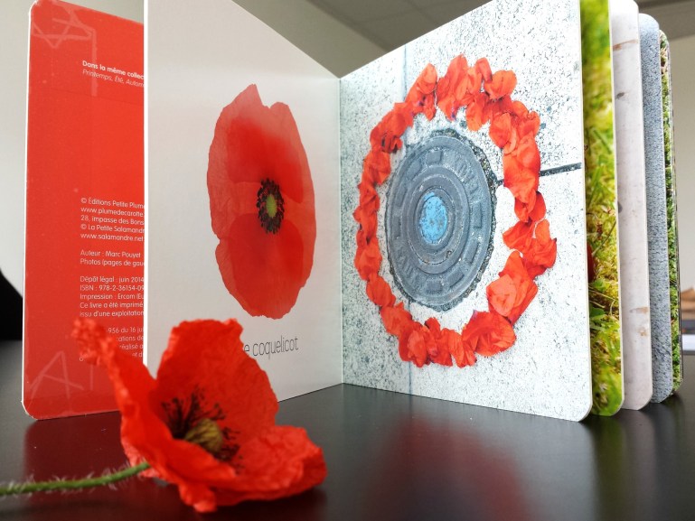 Bien inspirée du côté de mon cimetière ^^