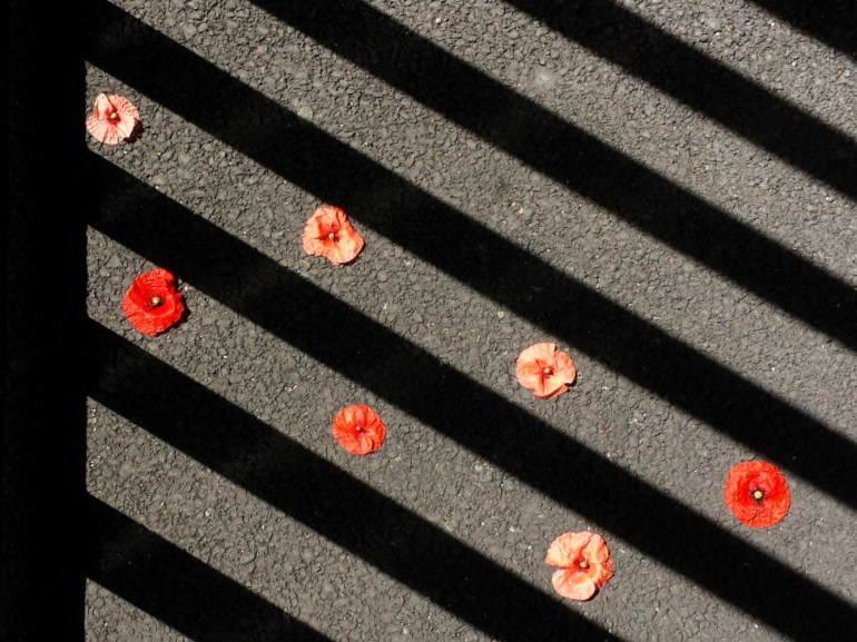 coquelicots_mylittlelandart