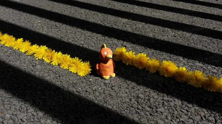 Gigina, radieuse au milieu des pissenlits