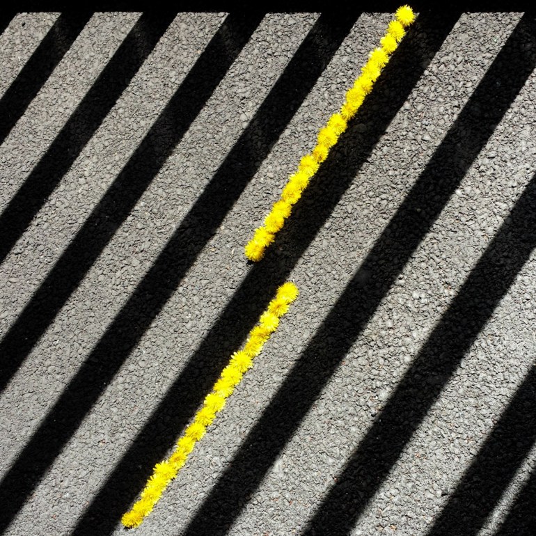 pissenlit-mylittlelandart