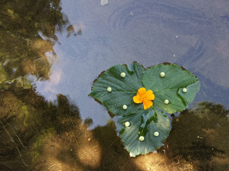 radeau_tilleul_mylittlelandart