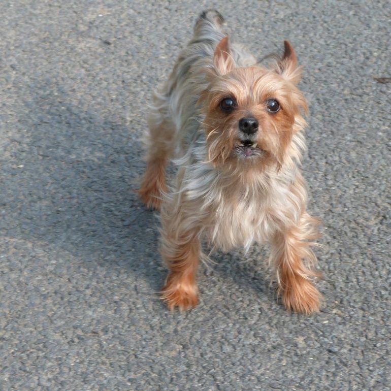 rencontre avec la faune locale (l'était agressif le bougre !)