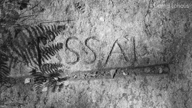 Réalisé sans trucage : quand les fougères font du land art avec la complicité du soleil...