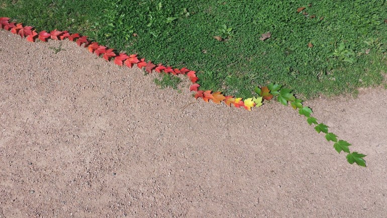 mylittlelandart_fenestre