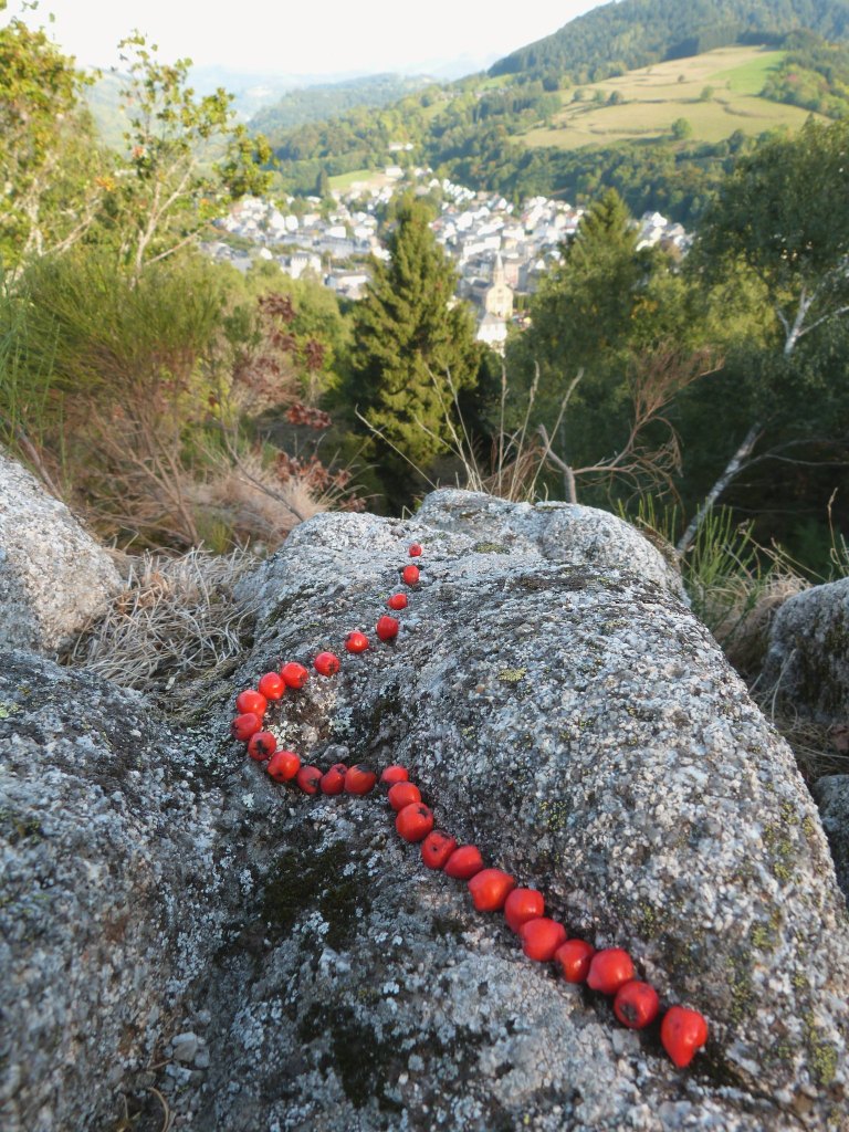 mylittlelandart_roche_fee