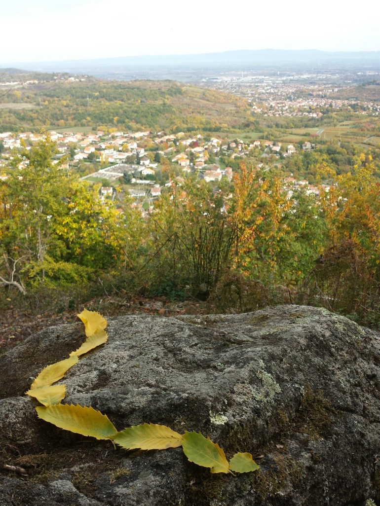 sayat_mylittlelandart