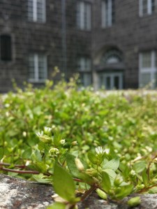 blaise_pascal_centre