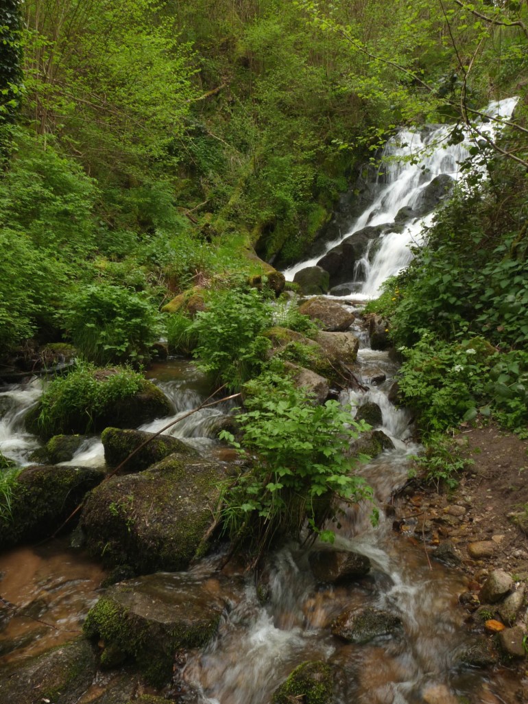 cascade_ecureuil_2.jpg
