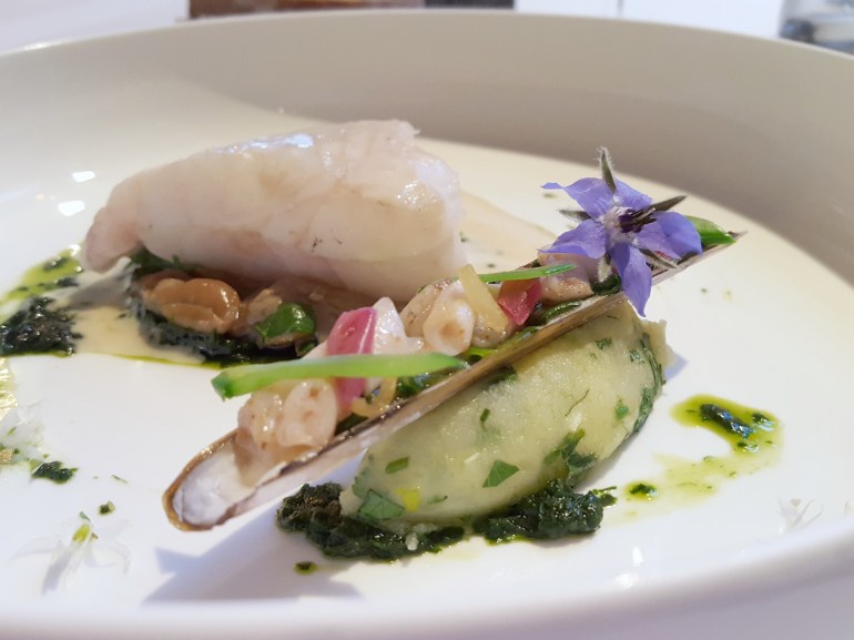 turbot_ostal