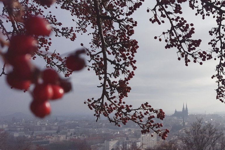 img_20181231_150527_120