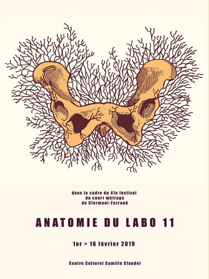 anatomie-du-labo-11-1