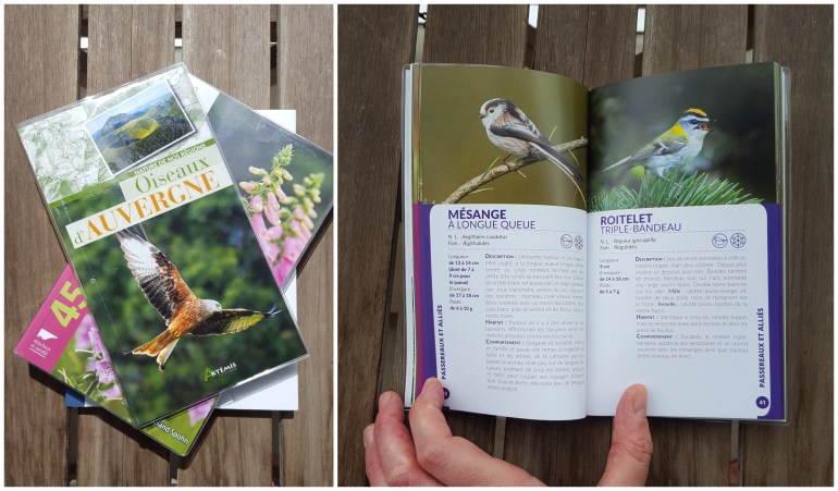 oiseaux_auvergne