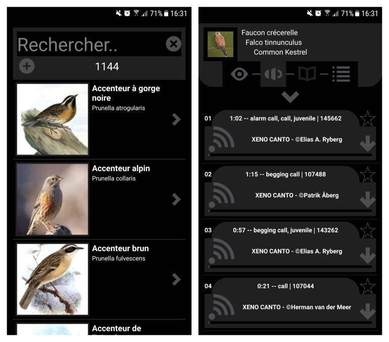ornithopedia2