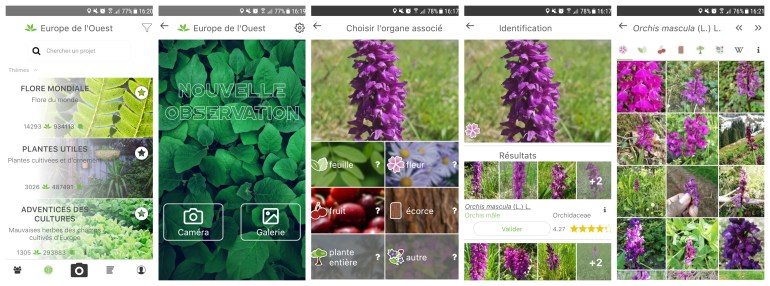plantnet