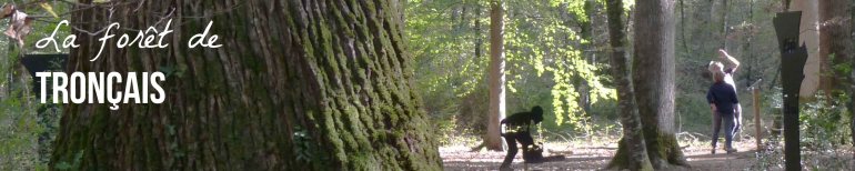 troncais_bann